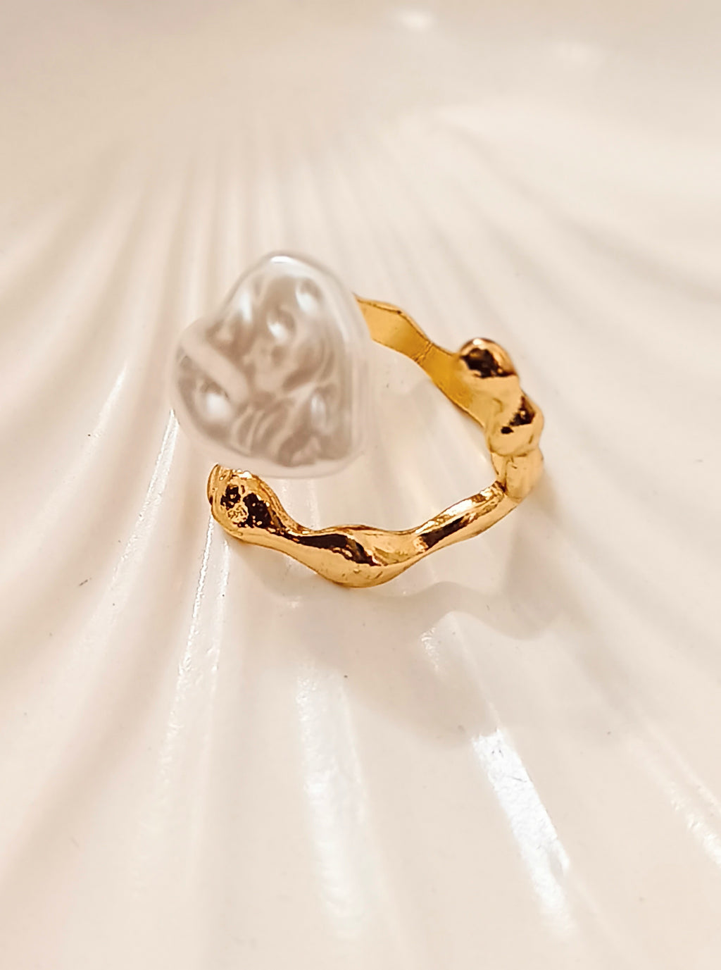 The Coral Current Ring