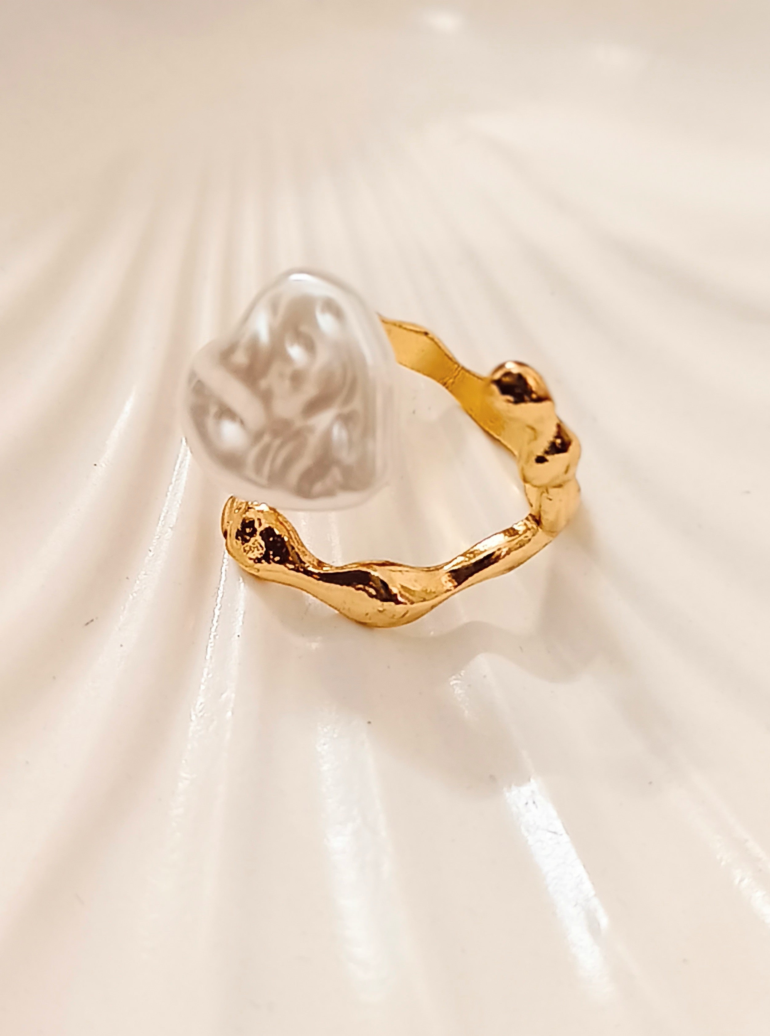 The Coral Current Ring