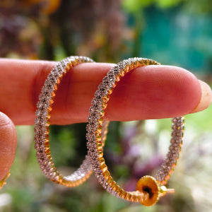 Frost & Gold Hoops